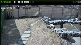 Restricted-area alert scene